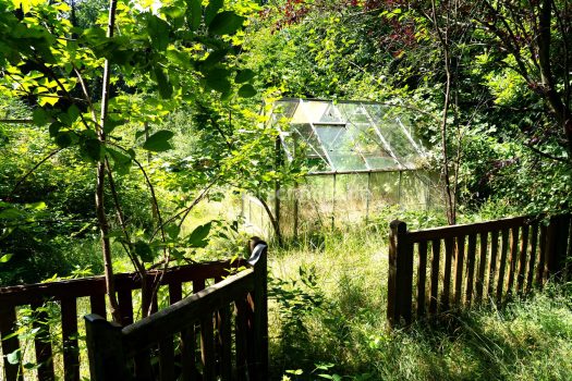 Gartenansicht 2