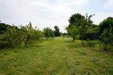 Gartenansicht 1 - RUHIGE LAGE, VIEL RAUM, GROßES GRUNDSTÜCK!