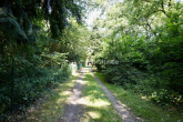 Zufahrt - IHR ZUHAUSE INMITTEN DER NATUR!