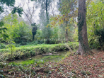 Gartenansicht 3 - EINZIGARTIGES GRUNDSTÜCK MIT HISTORISCHEM WOHNCHARAKTER!