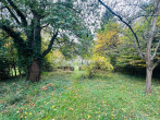 Garten - HISTORISCHES EINFAMILIENHAUS MIT GROßZÜGIGEM GARTENGRUNDSTÜCK DIREKT AN DER NIERS!