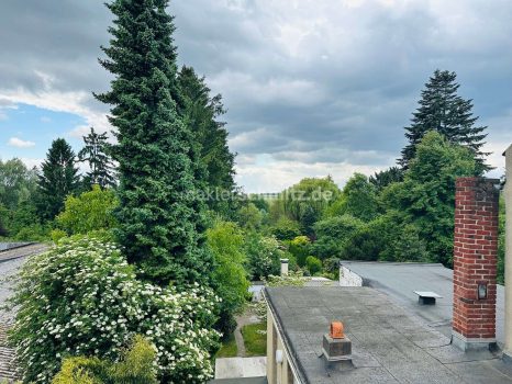 Überblick Garten